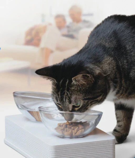 Catit Style 2-Bowl Glass Dinner Set for Pets