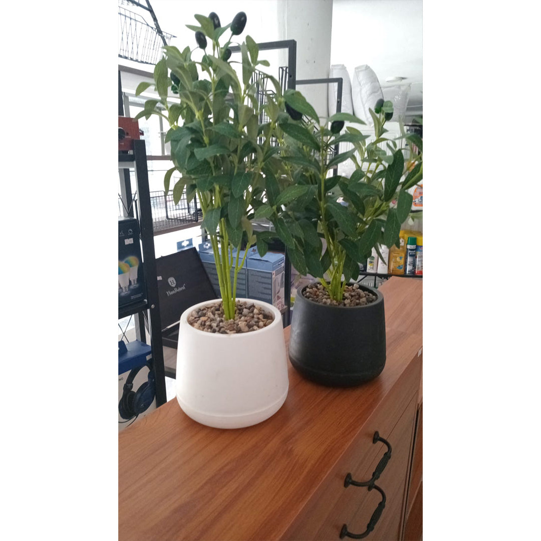 Decorative Artificial Olive Plant in Modern Pot