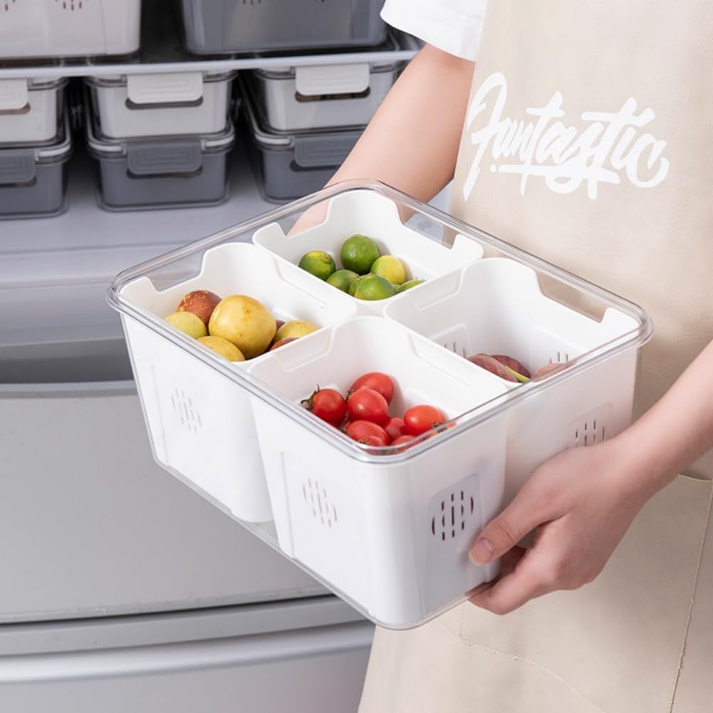 Divided Serving Tray with Lid