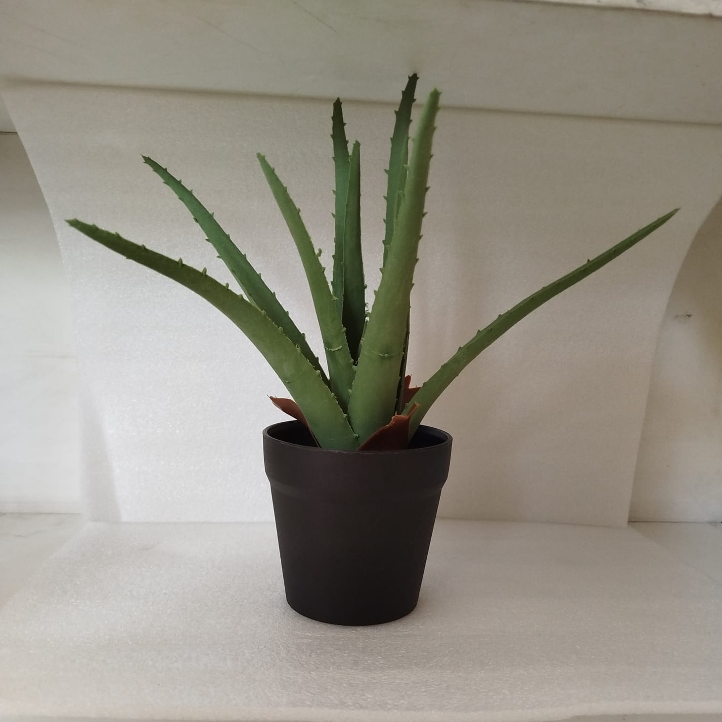 Artificial Aloe Vera Plant in Black Pot