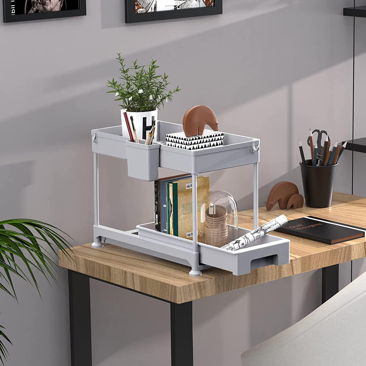 Under Sink Organizer