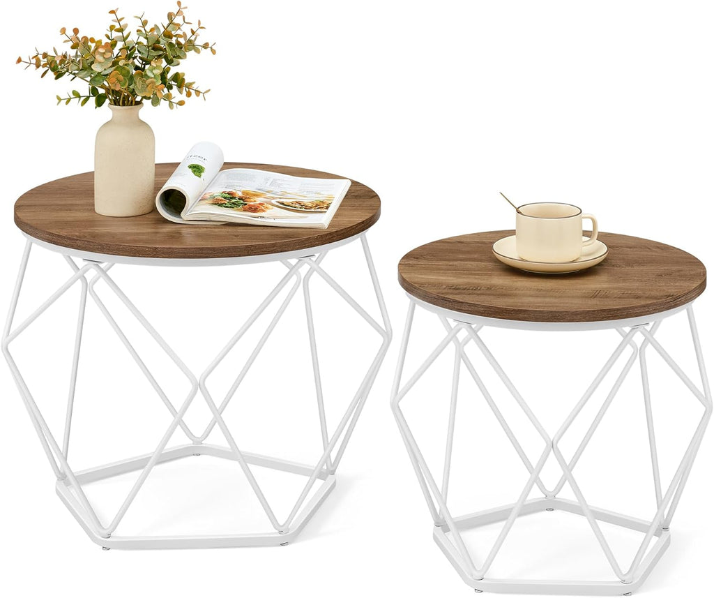 VASAGLE Set of 2 Coffee Table LET040K41