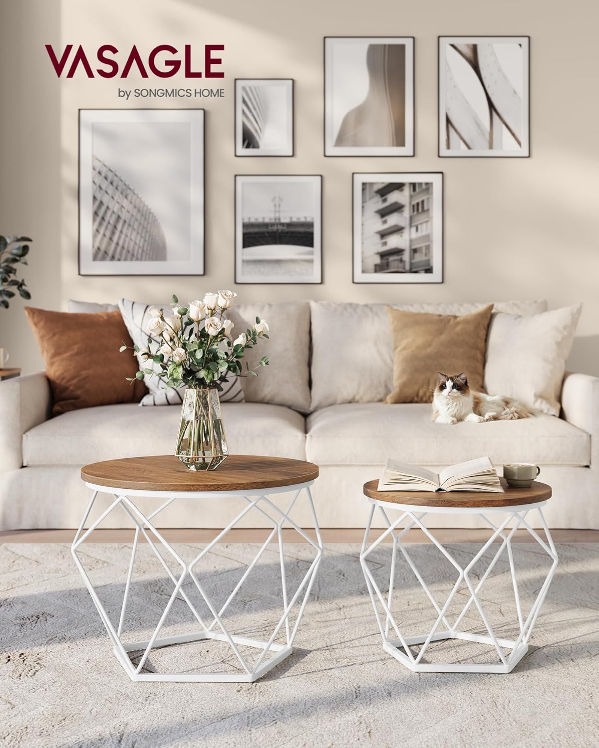 VASAGLE Set of 2 Coffee Table LET040K41