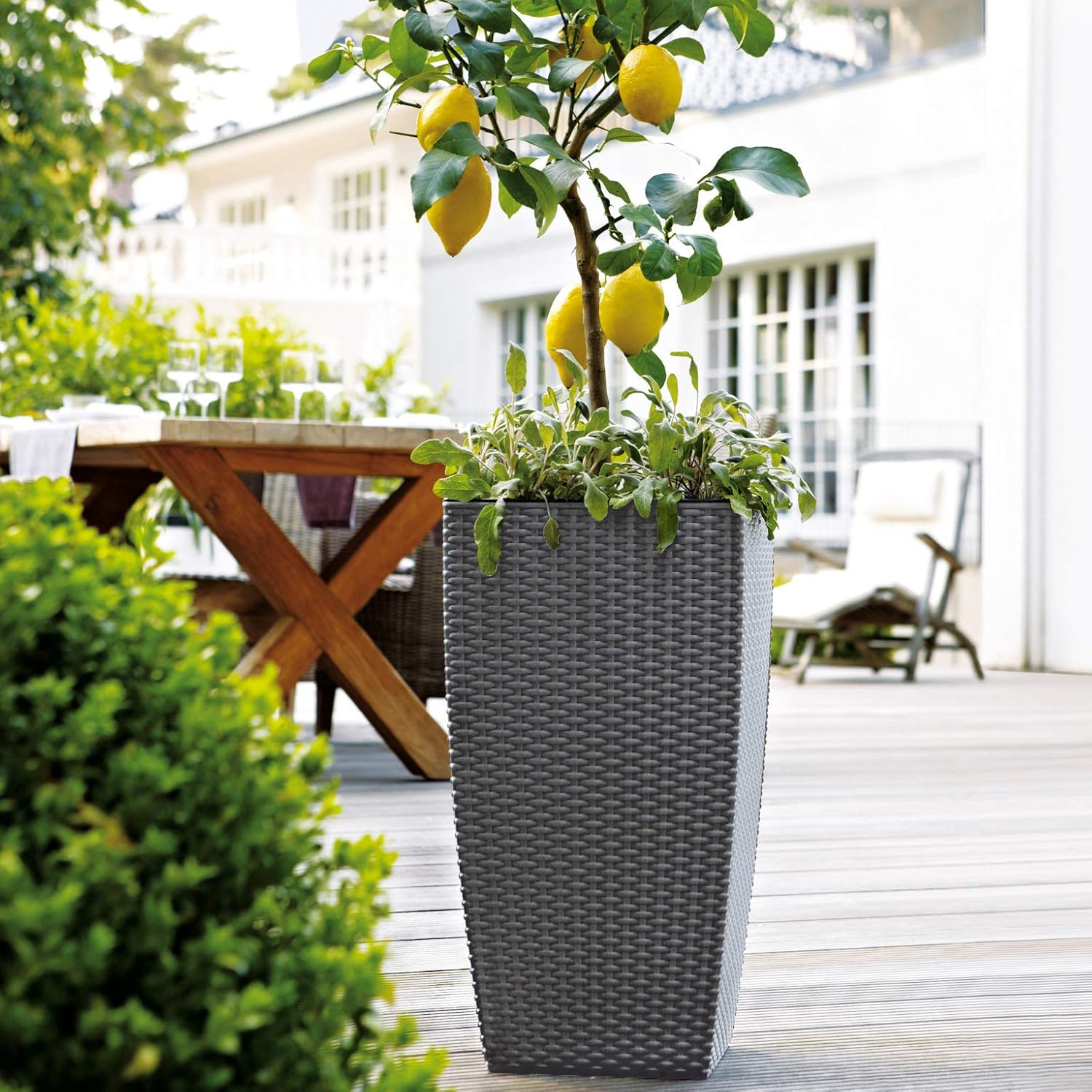 Emsa Casa Mesh Outdoor Planter Self-Watering System