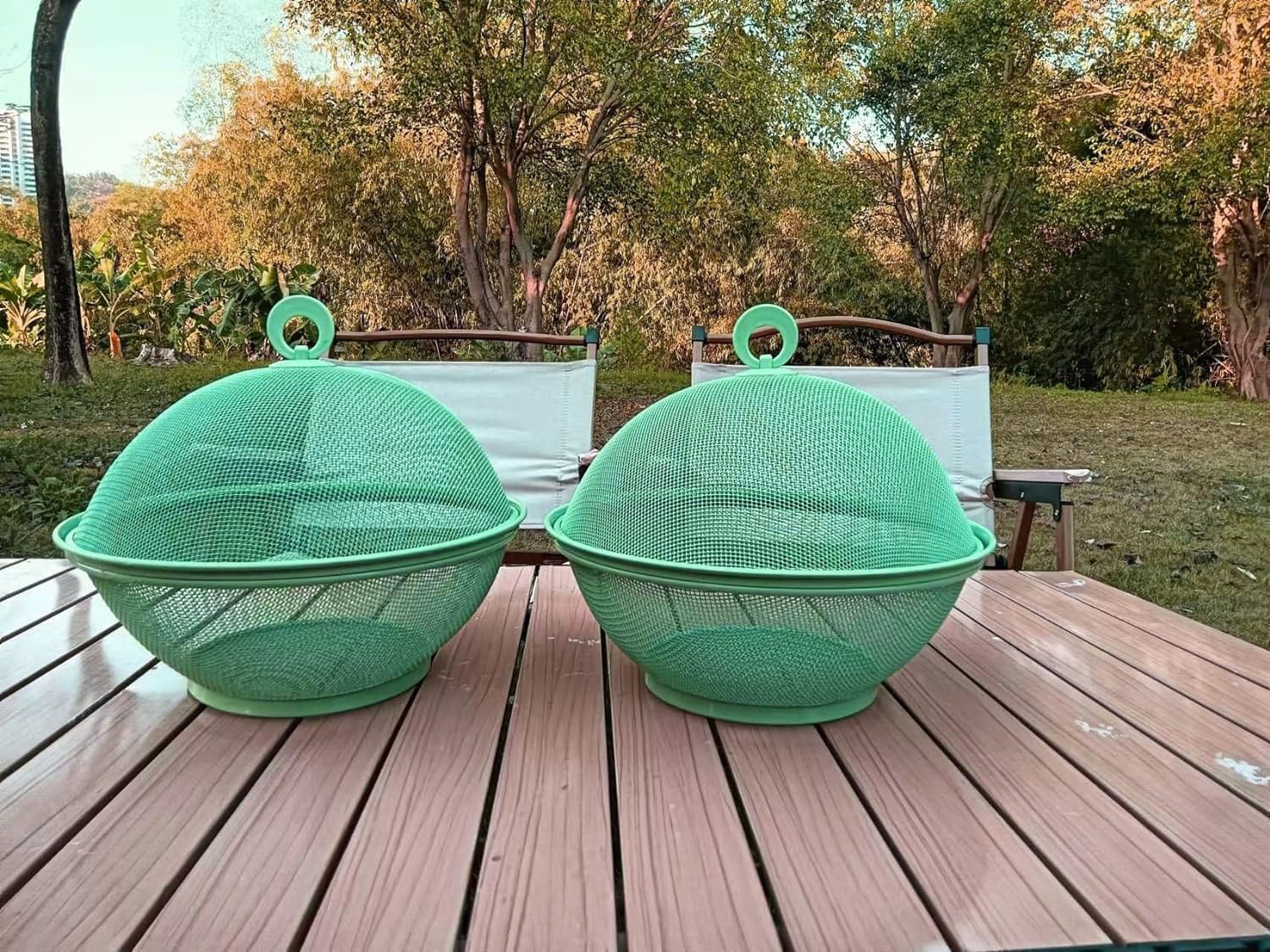 Set of 2 Fruit Basket with Lid