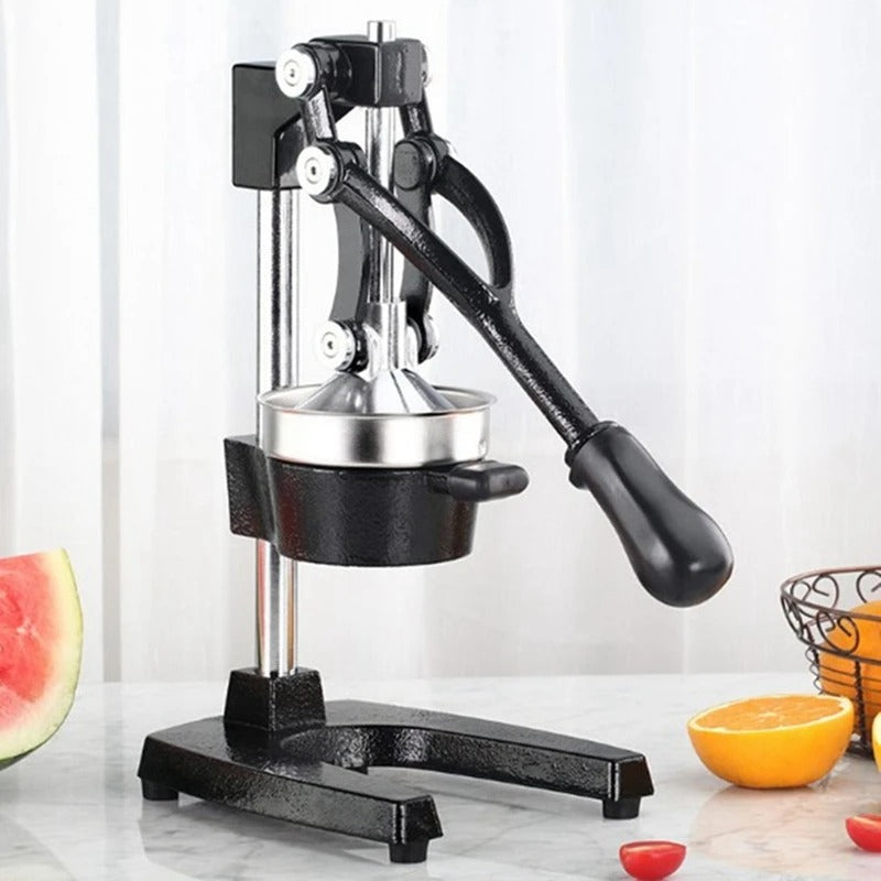 GeBe Manual Citrus Juicer Press Machine